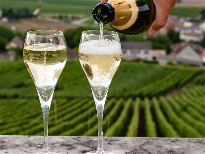 Enjoying Champagne&nbsp;in the region of Champagne.