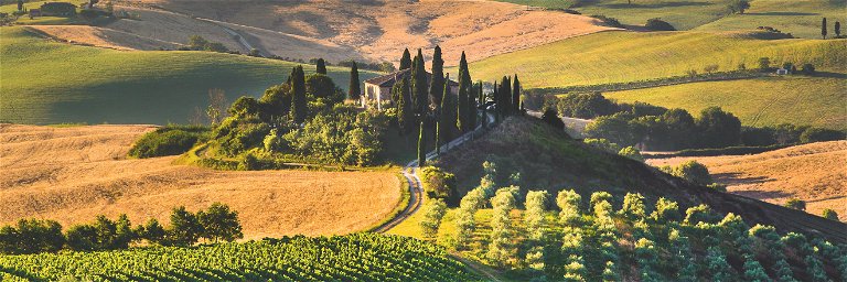 Tuscany is one of Italy’s key regions for iconic reds.