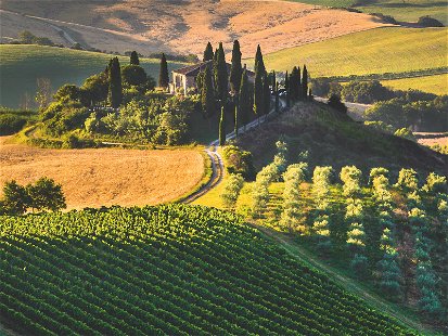 Tuscany is one of Italy’s key regions for iconic reds.