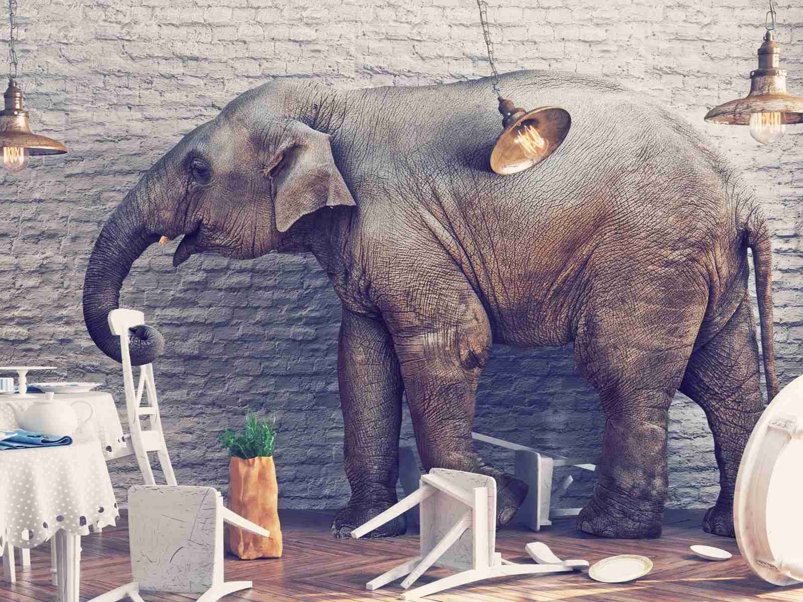 Too Much Wine: The Elephant in the Room