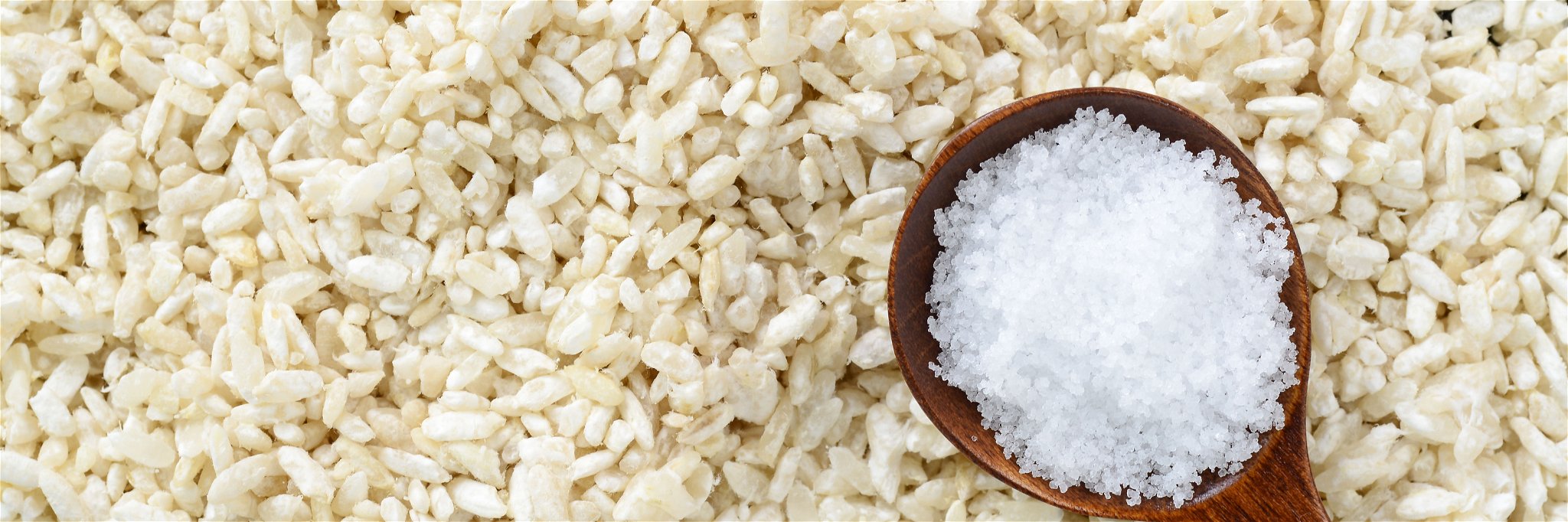 Der Koji-Pilz wächst auf Getreide - am liebsten auf Reis.