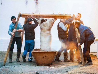 Der Sautanz ist eine burgenländische Tradition: Sobald es im Spätherbst kalt wird, werden die Schweine geschlachtet und komplett verarbeitet&nbsp;– hier am »Gut Purbach« in Purbach am Neusiedler See.