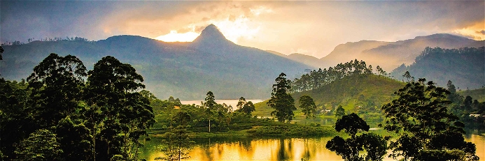In Sri Lankas bergigem Inneren wächst der weltberühmte Ceylon-Tee vor der malerischen Kulisse des 2200 Meter hohen Adam’s Peak.
