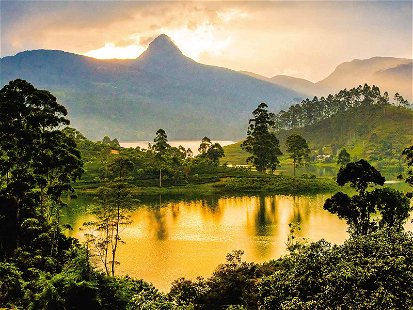 In Sri Lankas bergigem Inneren wächst der weltberühmte Ceylon-Tee vor der malerischen Kulisse des 2200 Meter hohen Adam’s Peak.