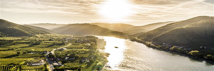 The Danube river and vineyards.