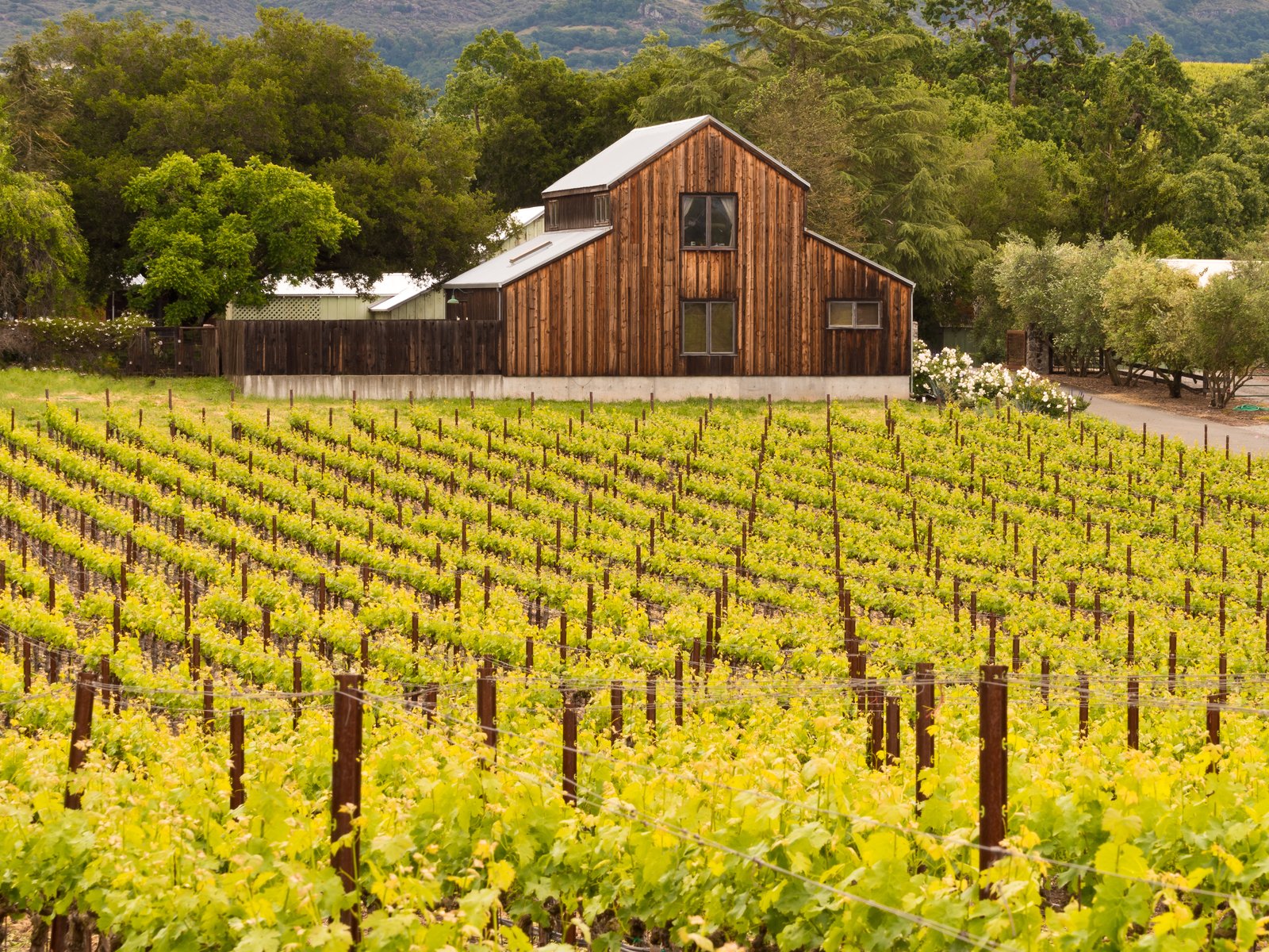 Shafer Vineyards is best known for its Hillside Select&nbsp;Cabernet Sauvignon