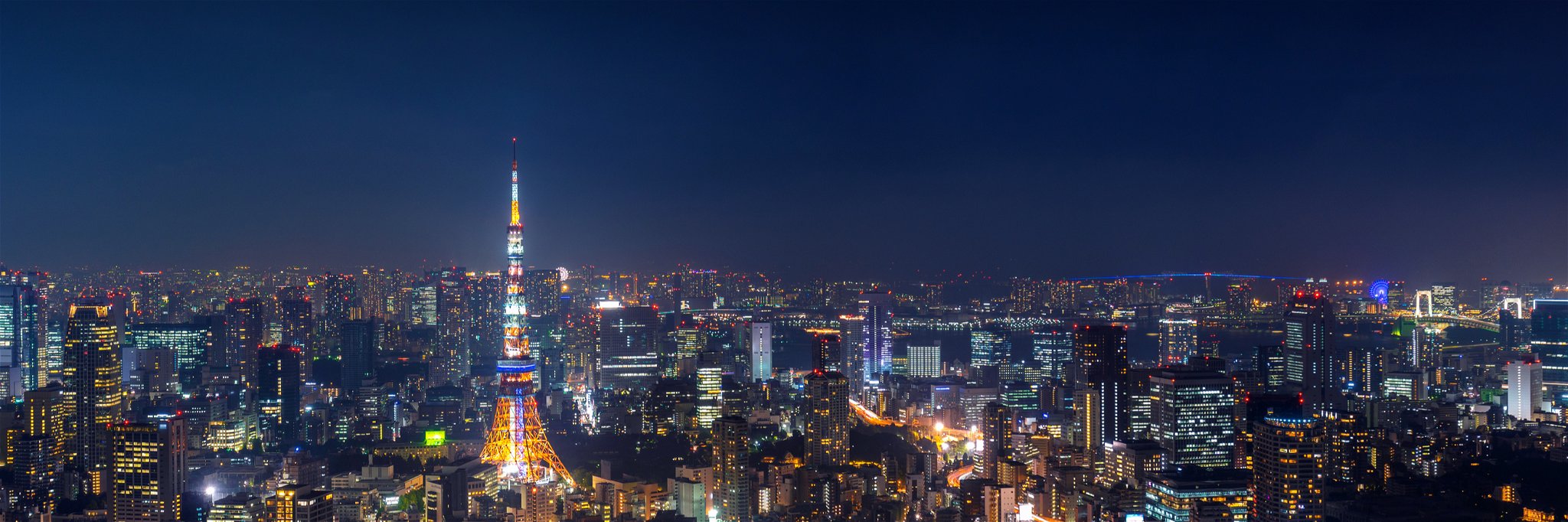 The Tokyo skyline at night.