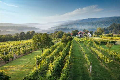 Kellerstöckl am Csaterberg: Die Kellerstöckl sind im Südburgenland die Weinkeller der Weinbauern, oft in idyllischer Lage mit fantastischer Aussicht.