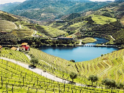 Douro Valley&nbsp;in Northern Portugal is one of the oldest wine regions in the world