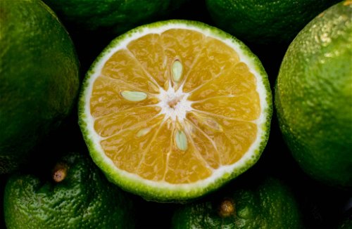 Die Empfindung sauer ist eine Reaktion auf die chemische Substanz Zitronensäure. Und die ist besonders hoch konzentriert in unreifen Früchten enthalten. Diese Geschmacksempfindung warnte den Menschen in Urzeiten vor noch ungeniessbarer Nahrung.