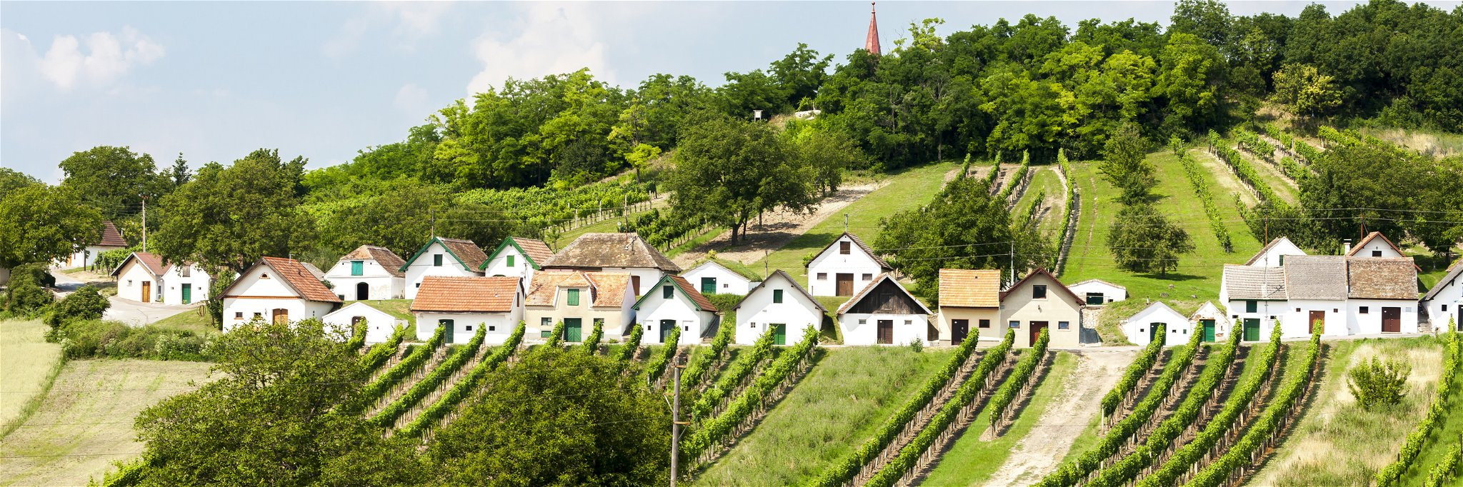 Traditional cellar buildings in Niederösterreich,&nbsp;Austria.