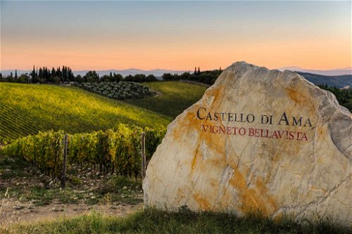 Der Bellavista von Castello di Ama zählte 1982 zu den ersten Lagenweinen im Chianti Classico, heute ist er eine grossartige Gran Selezione.