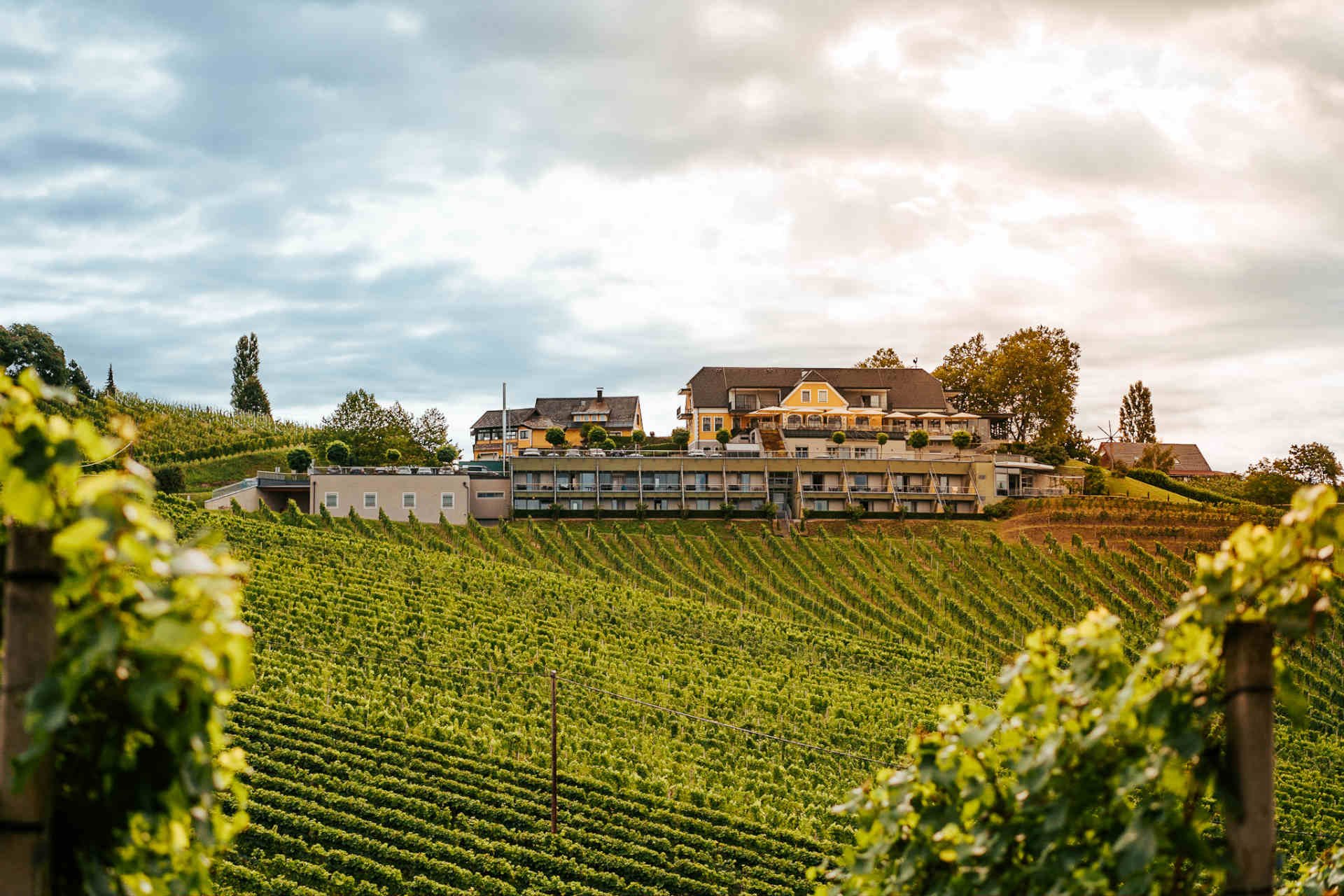 Das »Weinrefugium Brolli« liegt mitten in den Weinbergen.