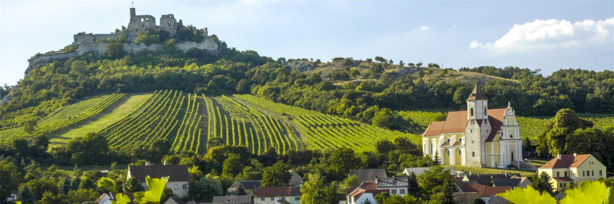 Niederösterreich will seine kulinarischen Seiten zeigen. Im Bild: Die Weinregion Falkenstein im Weinviertel.