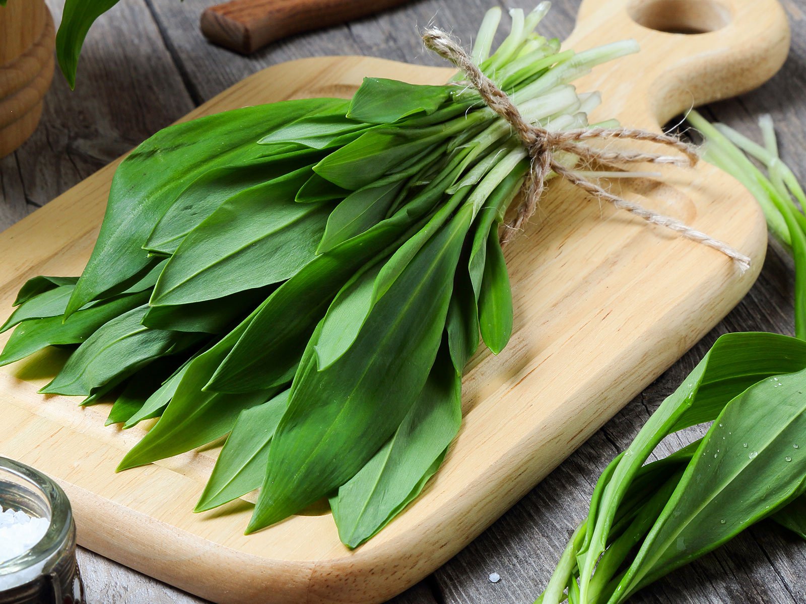 Fresh wild garlic is best collected in the forest or grown in the garden.