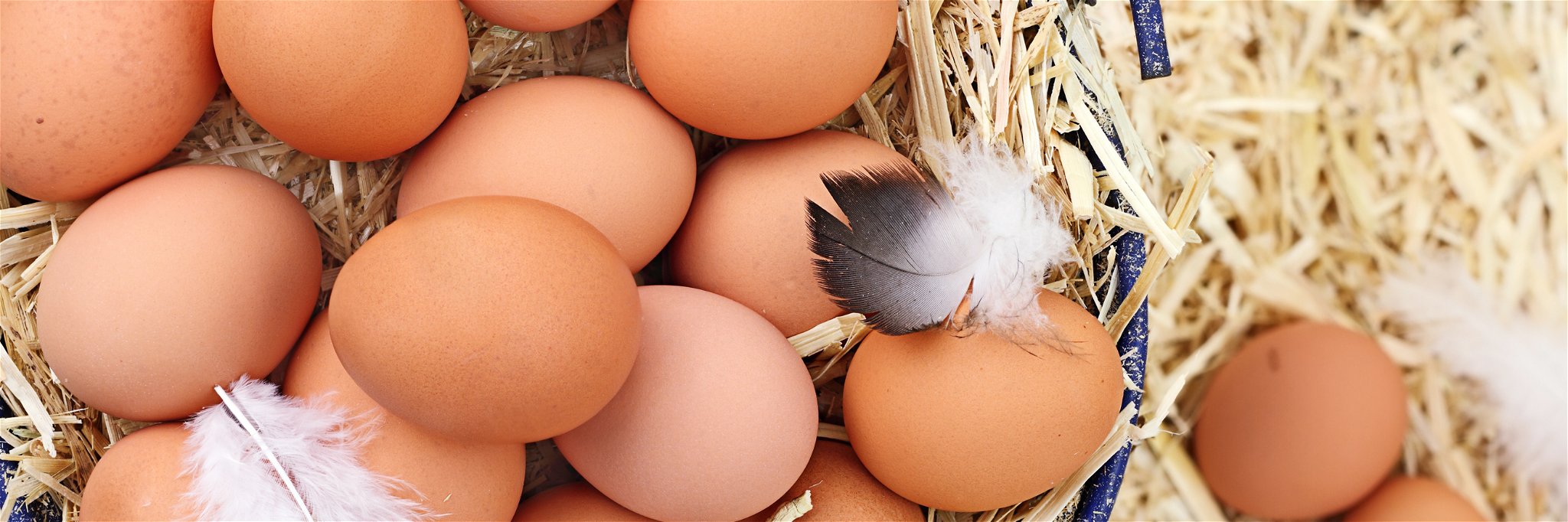 Supermarkets must add the new labels on many egg boxes starting Monday