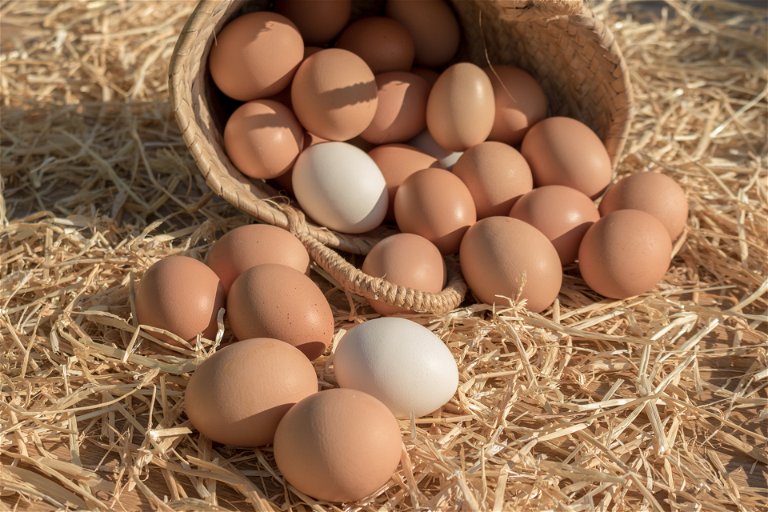 The best eggs come from free-range hens farmed organically.