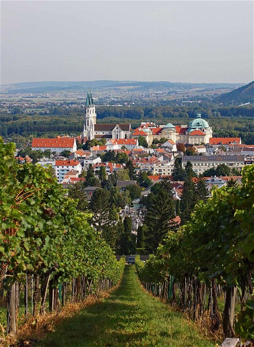 Ihren Ausgang nahm die Erfolgsgeschichte des Zweigelts vor 100 Jahren in der damals neu gegründeten Rebzuchtanstalt der Weinbauschule in Klosterneuburg.