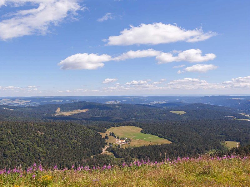 Der südliche Schwarzwald lockt mit herrlicher Natur, hier ein Blick vom Feldberg auf den Raimartihof. 