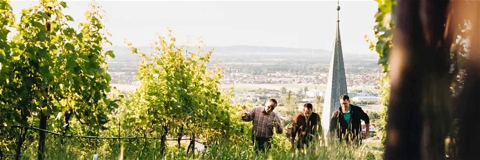 Das Weingut bei Tattendorf wird in vierter Generation geführt.