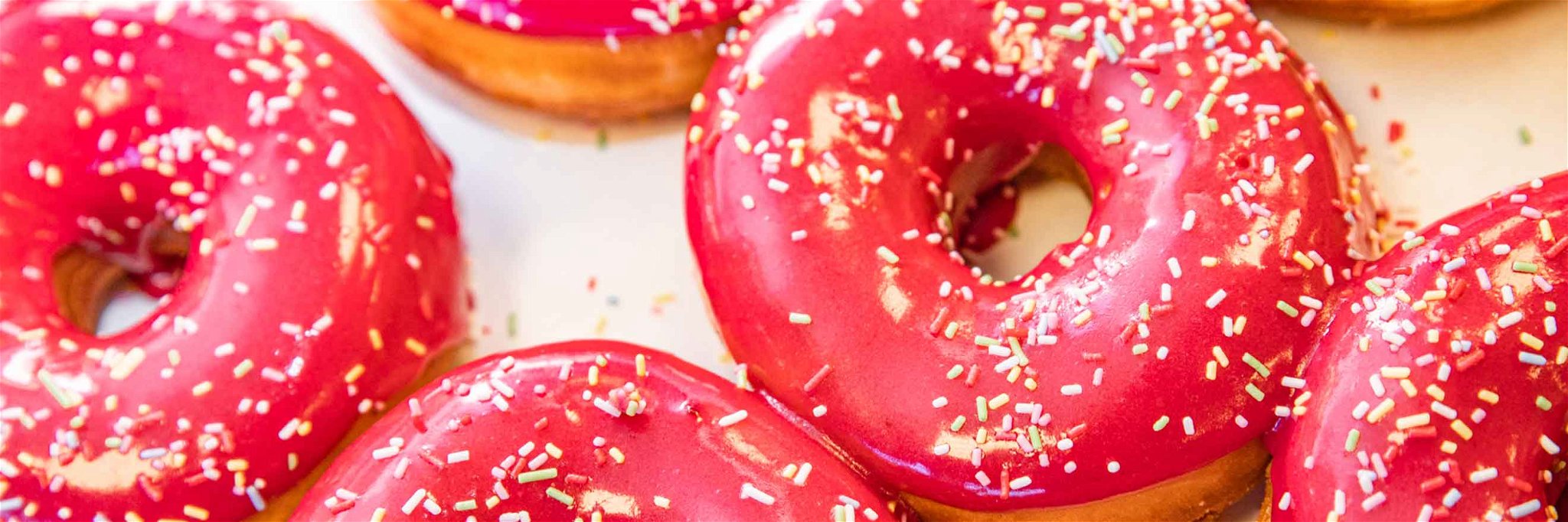 Bunt, kreativ, süß und vegan: so sind die Donuts von »Brammibal’s Donuts«