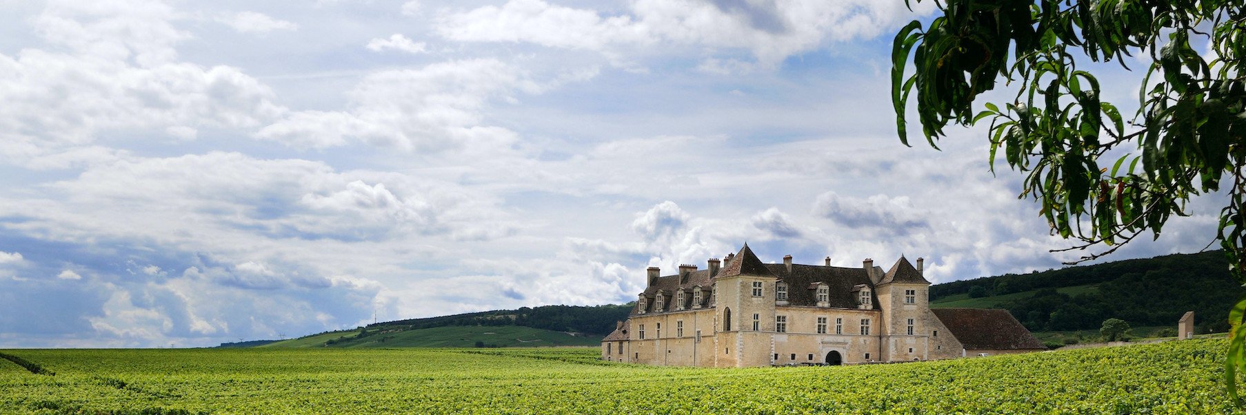 One of the most famous&nbsp;grand cru&nbsp;vineyards, Clos de Vougeot in Burgundy, was planted by Cistercian monks.&nbsp;