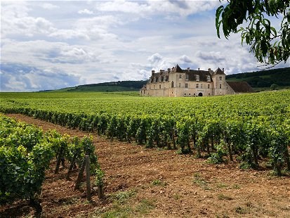 One of the most famous&nbsp;grand cru&nbsp;vineyards, Clos de Vougeot in Burgundy, was planted by Cistercian monks.&nbsp;