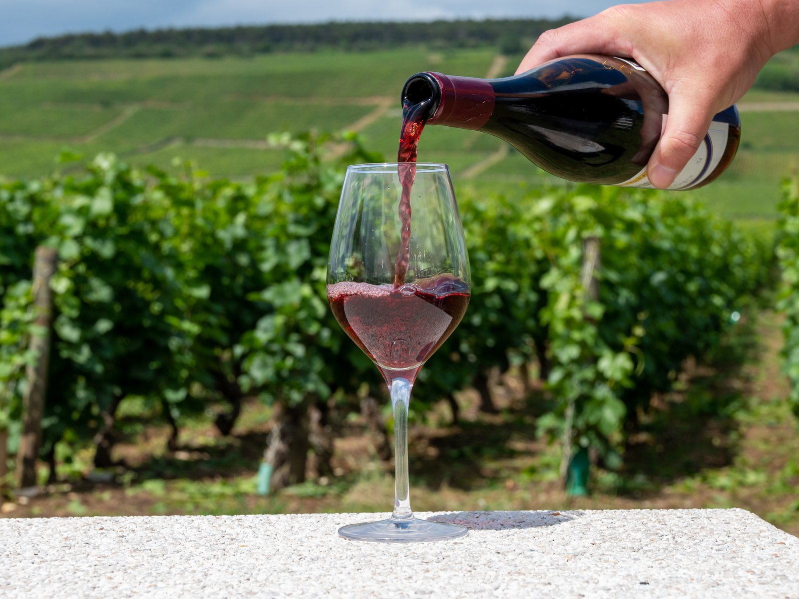 Love Pinot Noir? Five Other Styles to Discover - Falstaff