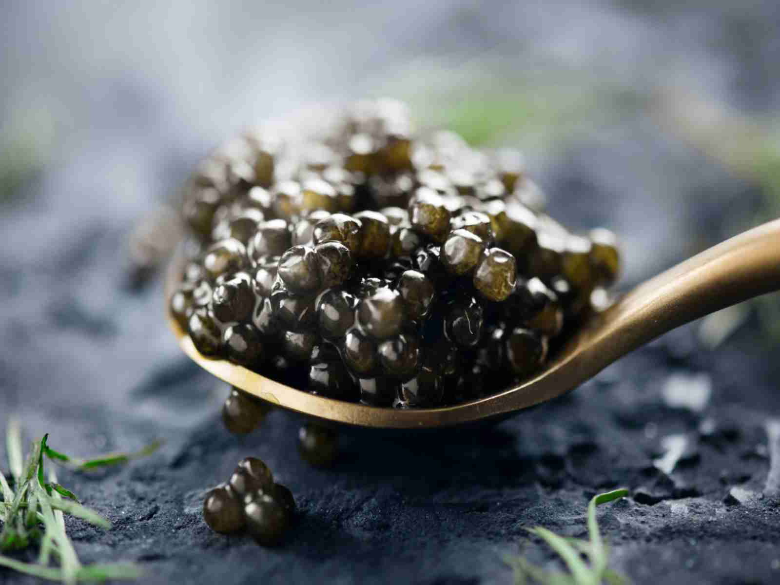 Caviar Vassoio Nero - LINEA CAVIAR - Arte del Te