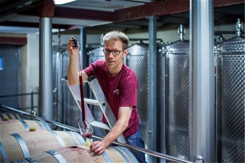 Thomas Engel ist Kellermeister bei Siebe-Dupf, dem grössten Kellerbetrieb der Region. Er beobachtet eine erhöhte Nachfrage nach regionalen Weinen.