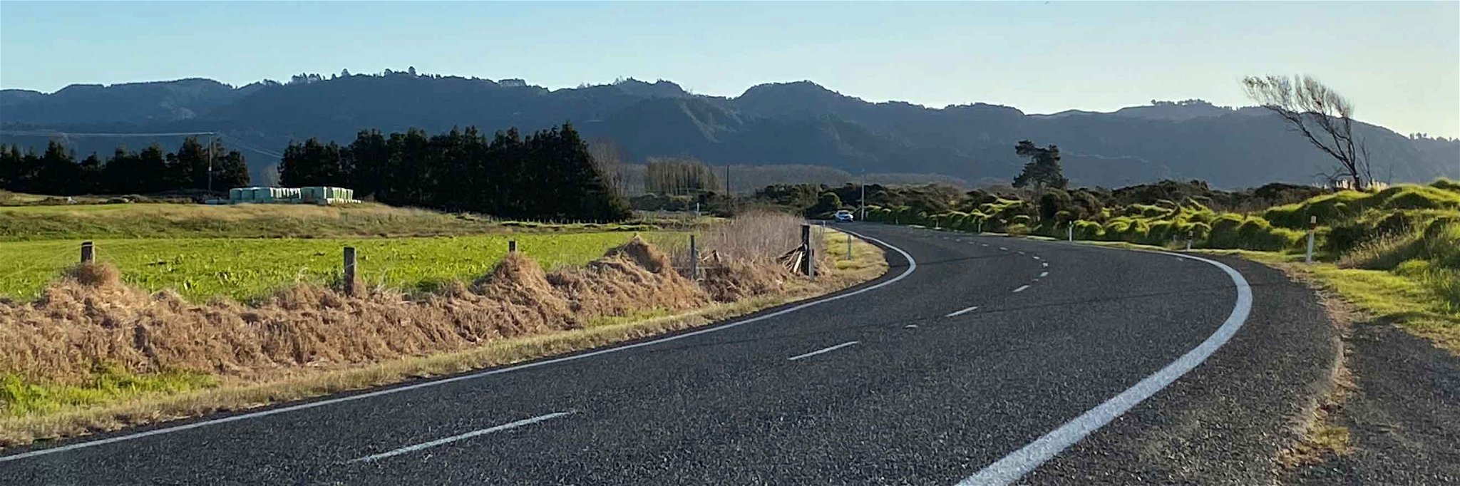 Rex Pickett hits the road in New Zealand.