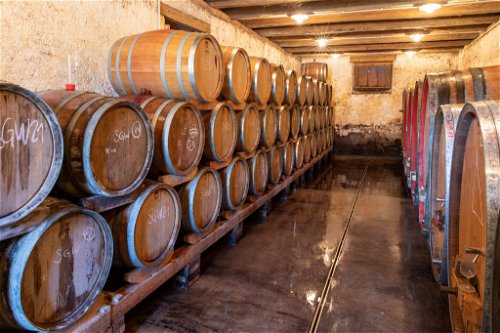 Im Falstaff-Weinguide 2022 gehörte das Weinguts Riehen zu den höchstbewerteten überhaupt.