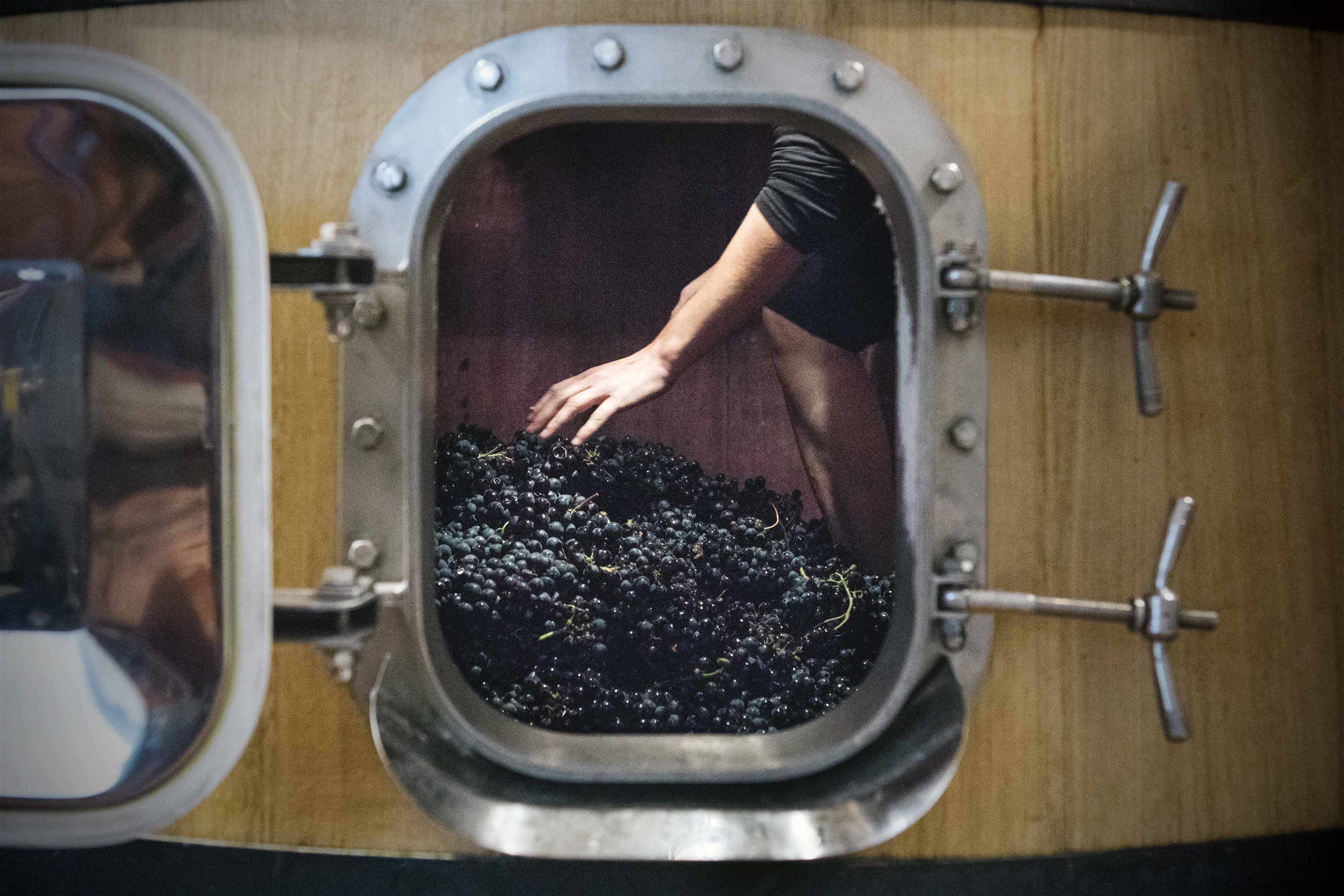 Bevor die Weinbereitungstechniken aus dem Bordeaux in Rioja Fuss fassten, wurden die Weine in Rioja traditionell mittels «Macération Carbonique»&nbsp;hergestellt.