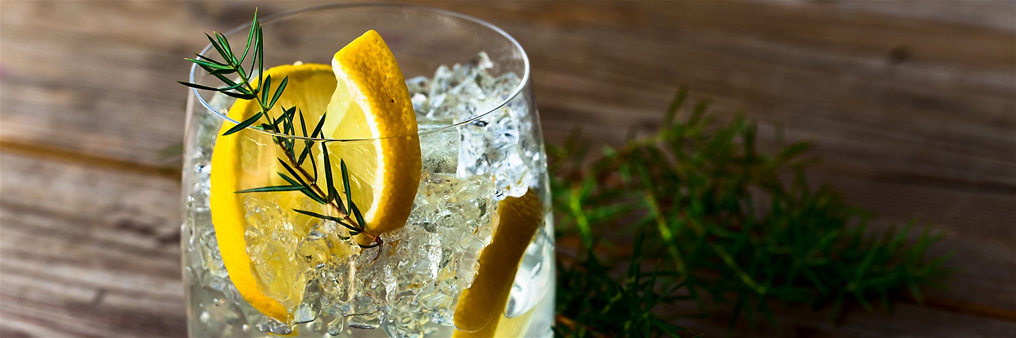 The Best Quotes about Gin