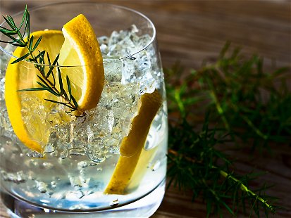 The Best Quotes about Gin
