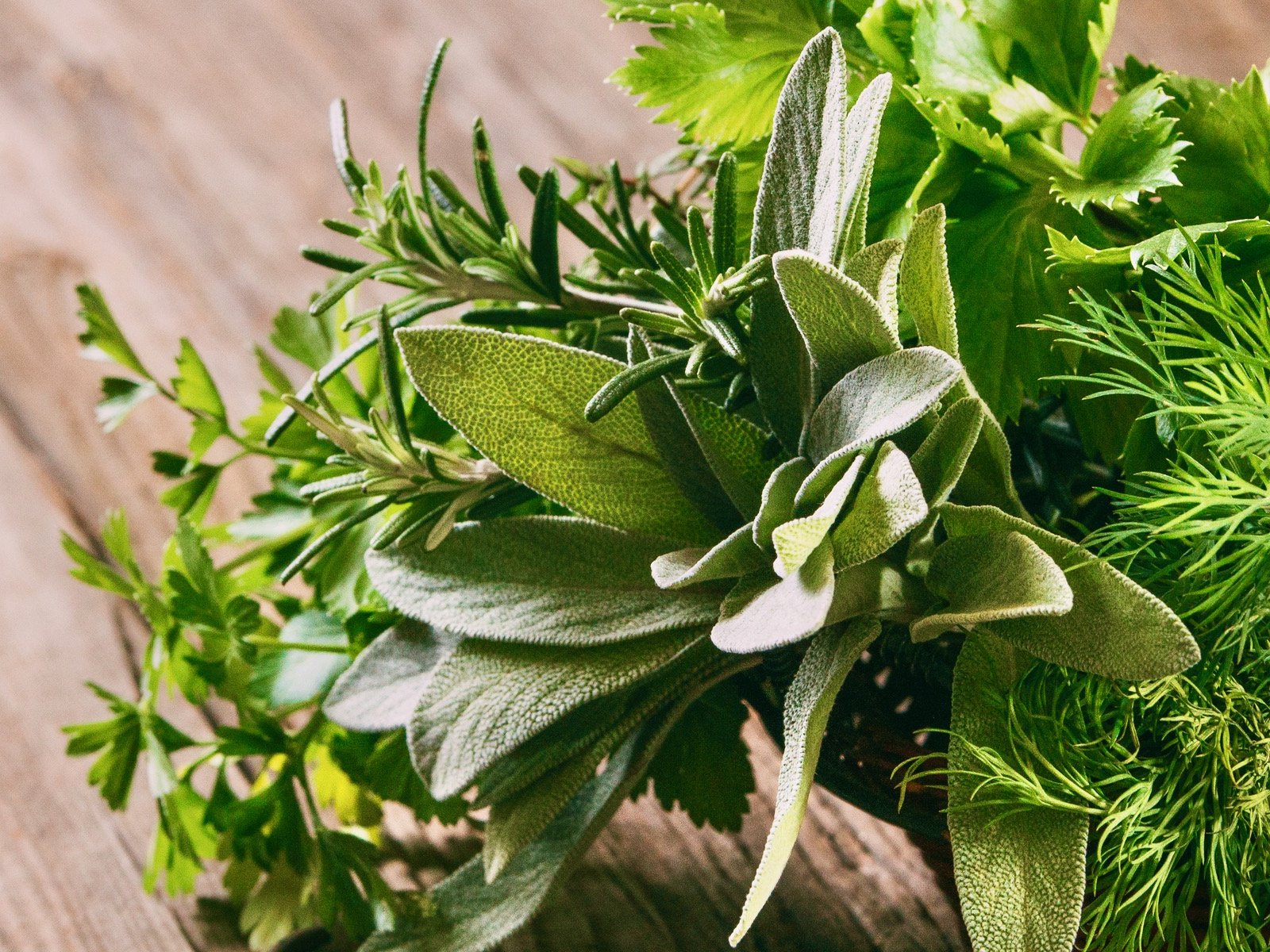 New uses for neglected herbs