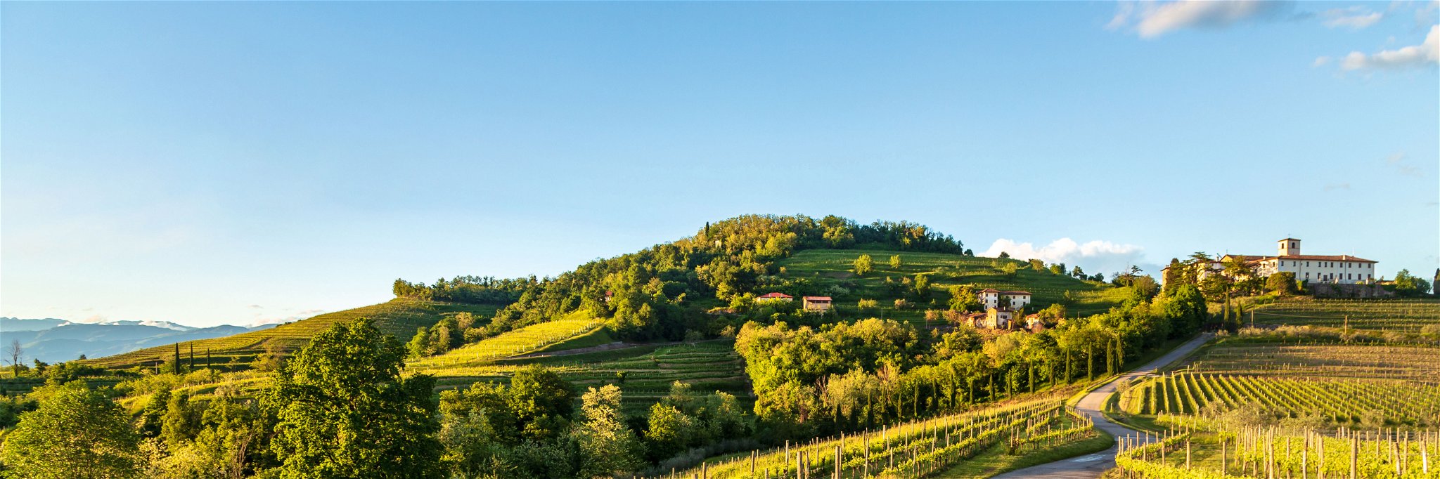 Gelobtes Land. Die Abbazia di Rosazzo ist eine mächtige Klosteranlage. Von hier gingen entscheidende Impulse für den Weinbau im Friaul aus.
