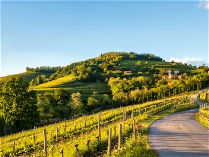 Gelobtes Land. Die Abbazia di Rosazzo ist eine mächtige Klosteranlage. Von hier gingen entscheidende Impulse für den Weinbau im Friaul aus.