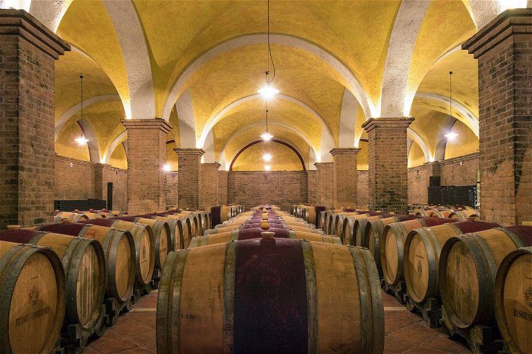 In the deep cellar of Russiz Superiore, both red and white wines mature in oak.