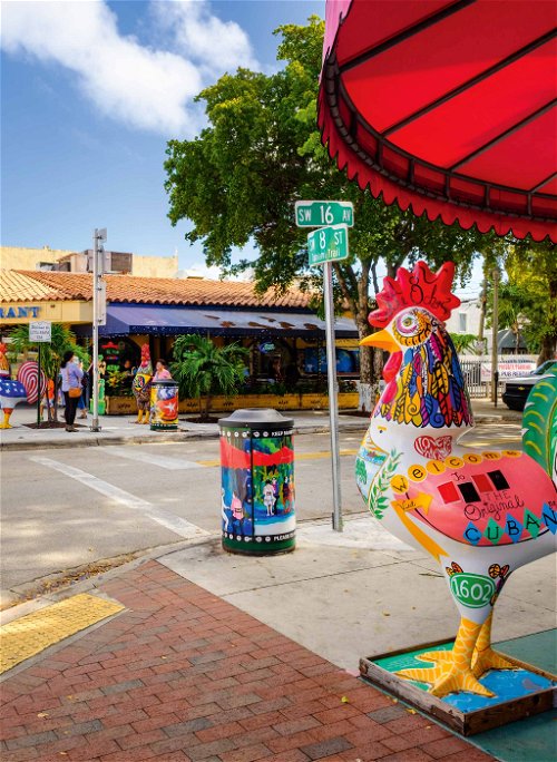 Big roosters are the mascots in the Cuban neighbourhood of Little Havana.