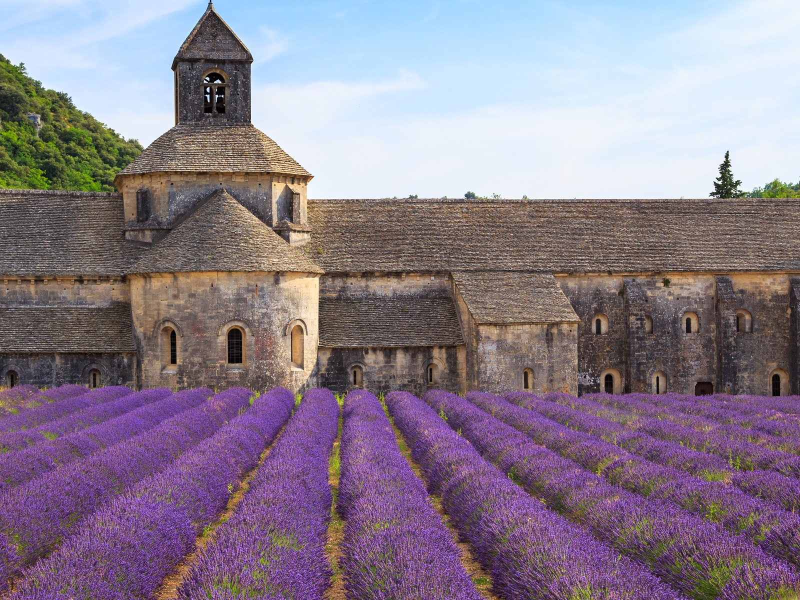 Abbaye Notre-Dame de Sénanque surrounded by rows of lavender in Provence.