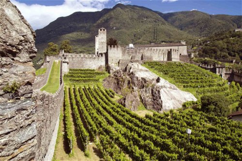 Sogar hier stehen Reben: Das Castelgrande ist eine von drei Burgen in Bellinzona. Das Gebäude kann besichtigt werden.