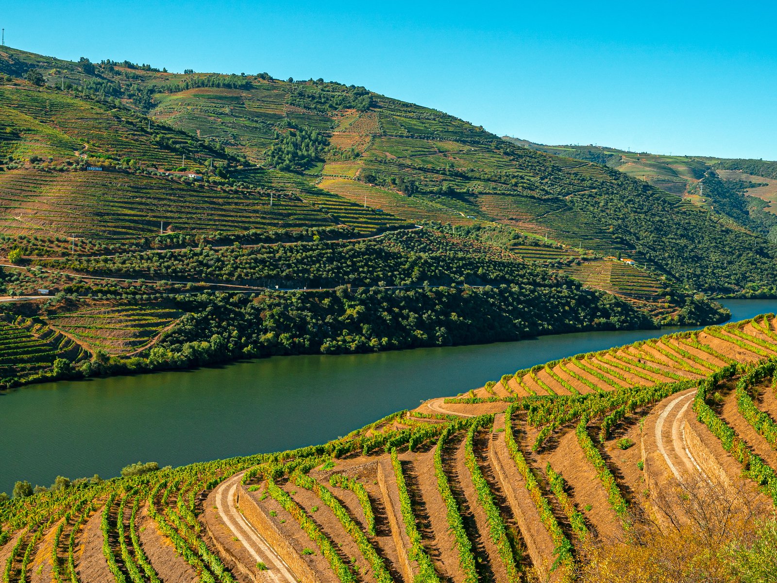 Viosinho is a common grape variety in the Douro Valley.&nbsp;