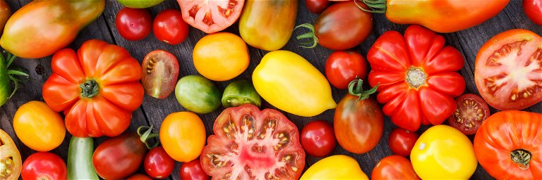 Tomatoes come in a huge range of colours and flavours.