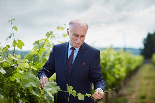 Master Blender Patrick Raguenaud in den Weingärten der Grande Champagne