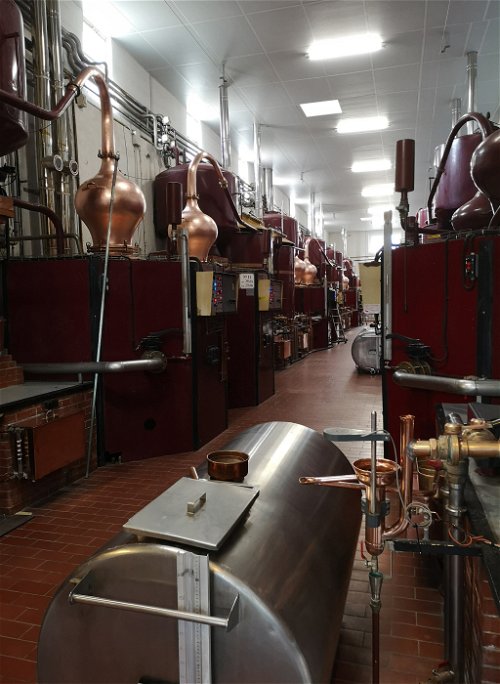 Die Cognac-Distillerie Cabanne in Bourg-Charente