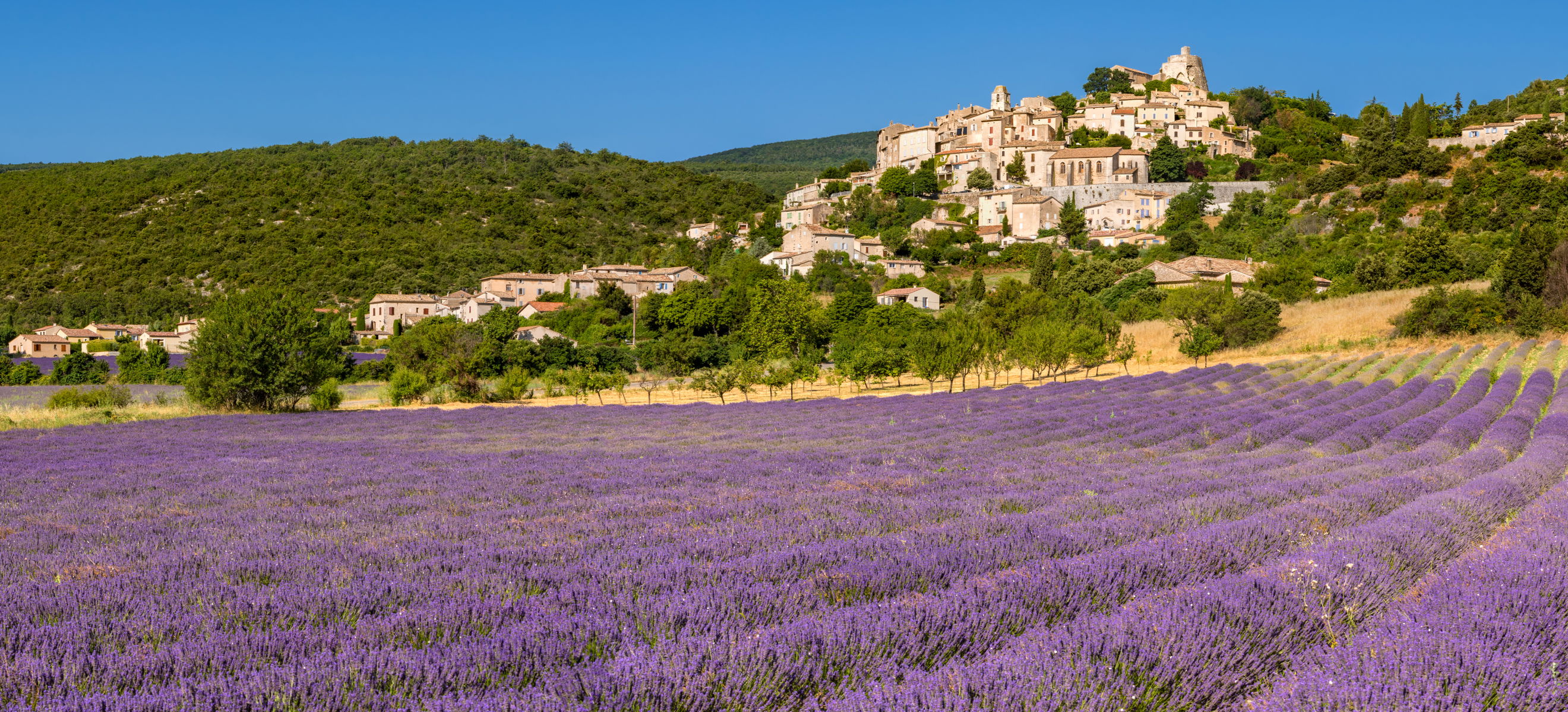 5 reasons to fall in love with Provence - Falstaff