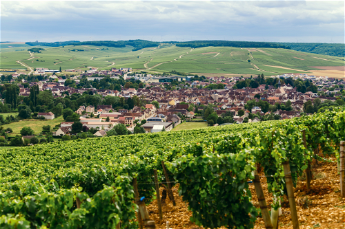 Surrounded by a sea of vines, the village of Chablis is the viticultural centre of northern Burgundy.