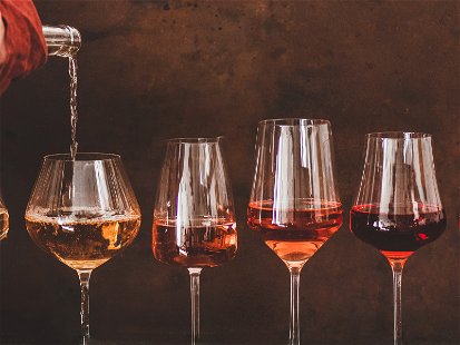 Different types of wine glasses.&nbsp;