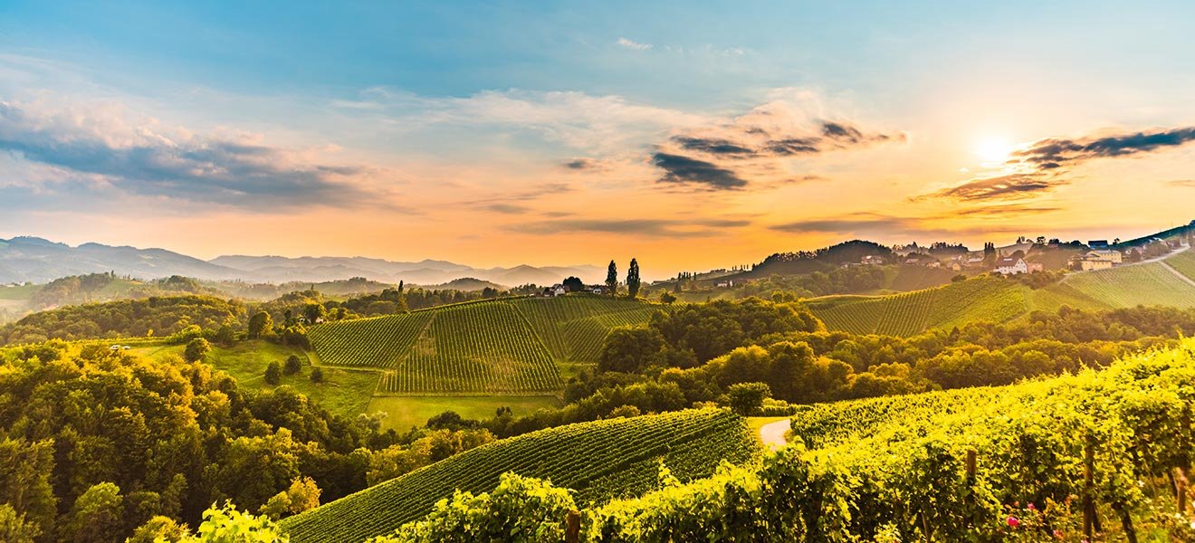 Die Südsteiermark bietet den idealen Nährboden für eine große Weinvielfalt.